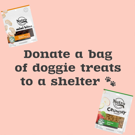 donate a bag of treats to a shelter